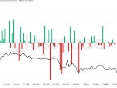 Bitcoin ETF girişleri 2025 ortalamasının 500 katını aştı