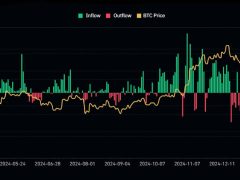 Bitcoin ETF’lerinde iki hafta sonunda 347 milyon dolarlık çıkış yaşandı
