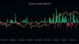 Bitcoin ETF’lerinde iki hafta sonunda 347 milyon dolarlık çıkış yaşandı