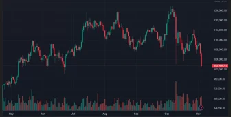 Bitcoin Fiyatı 100.000 Dolara Dayandı! İşte Büyük Düşüşte Son Durum ve Veriler