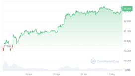 Bitcoin balinaları altı haftada 81.338 BTC toplarken küçük yatırımcılar satışta