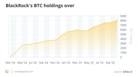 Bitcoin balinaları piyasayı gerçekten yönlendiriyor mu? Detaylı analiz