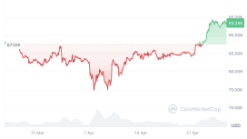 Bitcoin balinalarının dev BTC birikimleri protokole tehdit oluşturuyor mu?