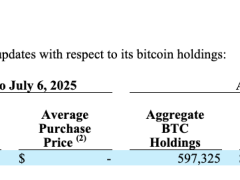 Bitcoin balinası 14 milyar dolarlık kazanca rağmen BTC alımlarına ara verdi
