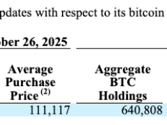 Bitcoin balinası alımlarını yavaşlatırken toplam BTC varlığı 640 bini geçti