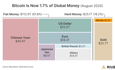 Bitcoin dünyadaki toplam paranın yüzde 1,7’sini temsil ediyor