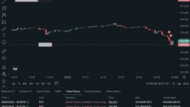 Bitcoin düşünce 40x kaldıraçlı işlem yapan balina 100 milyon dolar kaybetti