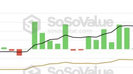 Bitcoin fiyatındaki sert düşüş sonrası analistlerden “ucuz” mesajı