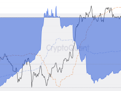 Bitcoin fiyatındaki toparlanma uzun vadeli yatırımcılara 26 milyar dolar kazandırdı