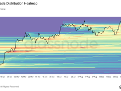 Bitcoin piyasasında kâr rekoru kırılırken kaldıraç riski artıyor