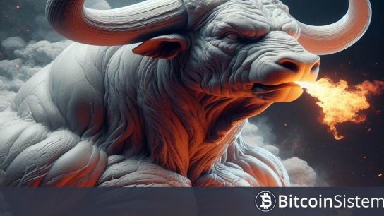 Bitcoin ve Altcoinlerde Zirve Zaten Görüldü Mü Yoksa Daha Büyük Boğa Hala Bekleniyor Mu? İşte Veriler