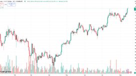 Bitcoin ya Godzilla gibi yükselecek ya da altcoin çılgınlığıyla düşecek — Samson Mow