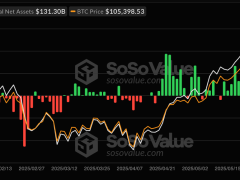 Bitcoin yatırımcıları 15 günlük ETF giriş serisinin bitmesiyle ‘savunmaya’ geçti