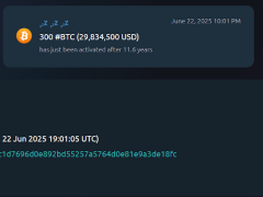 Bitcoin yatırımcısı 11 yıl bekledi, 30 milyon dolar kâr elde etti