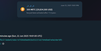 Bitcoin yatırımcısı 11 yıl bekledi, 30 milyon dolar kâr elde etti