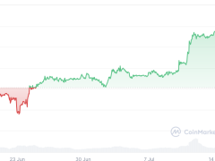 Bitcoin yaz ortasında rekor kırarken bireysel yatırımcı hala ortada yok