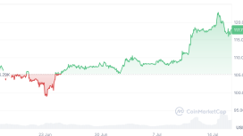 Bitcoin yaz ortasında rekor kırarken bireysel yatırımcı hala ortada yok