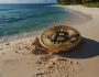 Bitcoin’de Yaz Rallisi Müjdesi: Analistler “2025 Çok Farklı Olacak Dedi”, Yeni BTC Stratejisini Açıkladı!