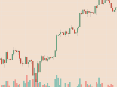 Bitwise analistlerine göre Bitcoin’in “adil değeri” 230 bin dolar