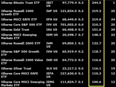 BlackRock’ın Bitcoin ETF’si 245 milyon dolarla şirketin en kârlı fonu oldu