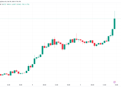 Boğalar devreye girdi Bitcoin 44.000 dolara yükseldi