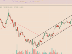 Bu dört memecoin Bitcoin’i geride bıraktı: Fartcoin, WIF, SPX6900, Popcat