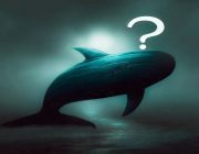 Altcoin Balinaları Son 24 Saatte Hareketlendi: İşte Yaptıkları İşlemler