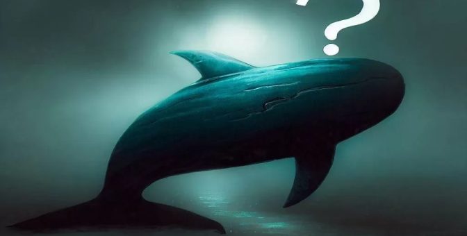 Altcoin Balinaları Son 24 Saatte Hareketlendi: İşte Yaptıkları İşlemler