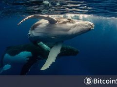 Büyük Kripto Para Balinaları Bugünkü Düşüş Sırasında Bu İşlemleri Yaptı! İşte Onchain Verileri