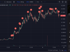 CZ’nin övdüğü memecoin ile yatırımcının 3.000 doları 2 milyon dolara çıktı