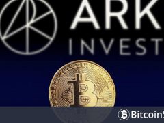 Cathie Wood Liderliğindeki Yatırım Şirketi Ark Invest, Her Düşüşte Yaptığını Yine Yaptı! İşte Detaylar