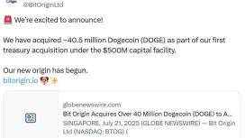 Çinli et üreticisi Bitcoin madencisi oldu ve Dogecoin planını başlattı