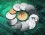 Altcoin Season’da Hareket Başlıyor Mu?