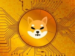 Coinbase Institutional’dan 2025’in En Büyük SHIB Transferi