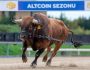 Deneyimli Analist, Mega Altcoin Sezonu İçin Mutlaka Sağlanması Gereken 4 Şartı Açıkladı!