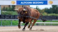 Yarın Geleceği İddia Edilen Solana Spot ETF’ler Bir Altcoin Sezonunu Ateşleyecek Mi? Analist Görüşünü Paylaştı!