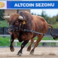 Yarın Geleceği İddia Edilen Solana Spot ETF’ler Bir Altcoin Sezonunu Ateşleyecek Mi? Analist Görüşünü Paylaştı!