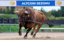 Yarın Geleceği İddia Edilen Solana Spot ETF’ler Bir Altcoin Sezonunu Ateşleyecek Mi? Analist Görüşünü Paylaştı!