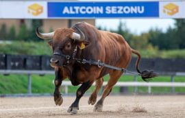 Yarın Geleceği İddia Edilen Solana Spot ETF’ler Bir Altcoin Sezonunu Ateşleyecek Mi? Analist Görüşünü Paylaştı!
