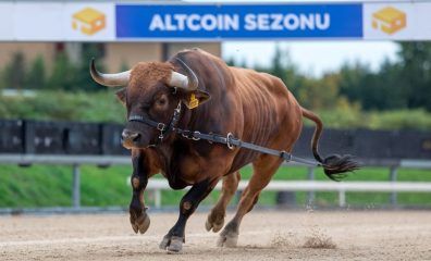 Yarın Geleceği İddia Edilen Solana Spot ETF’ler Bir Altcoin Sezonunu Ateşleyecek Mi? Analist Görüşünü Paylaştı!