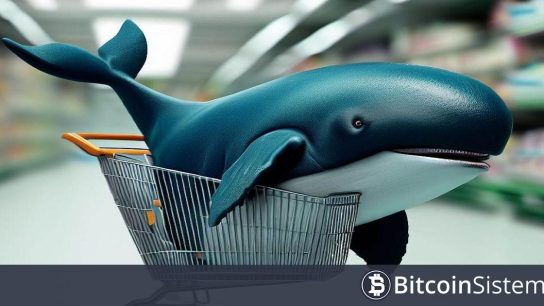 Dev Balina da Terste Kaldı: Daha Önce Milyonlarca Dolar Kar Elde Ettiği Altcoinde Stop-Loss Devreye Girdi, Zararına Sattı!