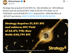 Dev Bitcoin balinası ABD’nin en büyük halka arzıyla 21 binden fazla BTC satın aldı