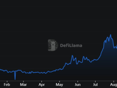 Dev piyasa çöküşünün nedeni “kontrollü kaldıraç azaltmaydı” — Analist