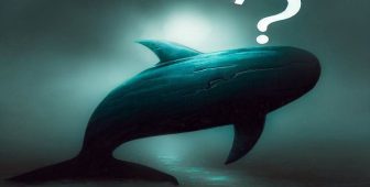 Devasa Altcoin Balinası, 42.64 Milyon Dolarlık Kârı Kaçırdı! Yüksekten Aldı, Düşükten Sattı! İşte Yaptığı İşlemler