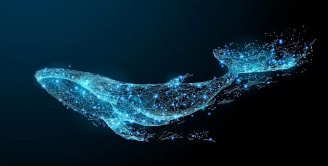 Devasa Balina, Bu Altcoinden Yüklü Satın Aldı: En Büyük İkinci Sahip Haline Geldi!