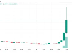 Donald Trump’ın Şirketi Bitcoin, Ethereum, XRP, Solana ve Sürpriz Bir Altcoini İçeren Yeni ETF Başvurusunda Bulundu! En Çok Yükselişi Sürpriz Altcoin Yaşadı!