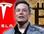 Elon Musk’ın Elinde Güncel Durumda Ne Kadar Bitcoin Bulunuyor? İşte Son Değişimlerin Ardından Varlıkları