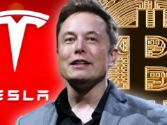 Elon Musk’ın Elinde Güncel Durumda Ne Kadar Bitcoin Bulunuyor? İşte Son Değişimlerin Ardından Varlıkları