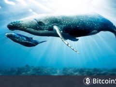En Büyük Balinaların Son Dönemde En Fazla Boğa ve En Fazla Ayı Olduğu Altcoinlerin Listesi Açıklandı! 19 Altcoin Radara Takıldı!