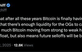 Erken dönem Bitcoin sahiplerinin kısa vadecilere satması fiyatı düşürebilir